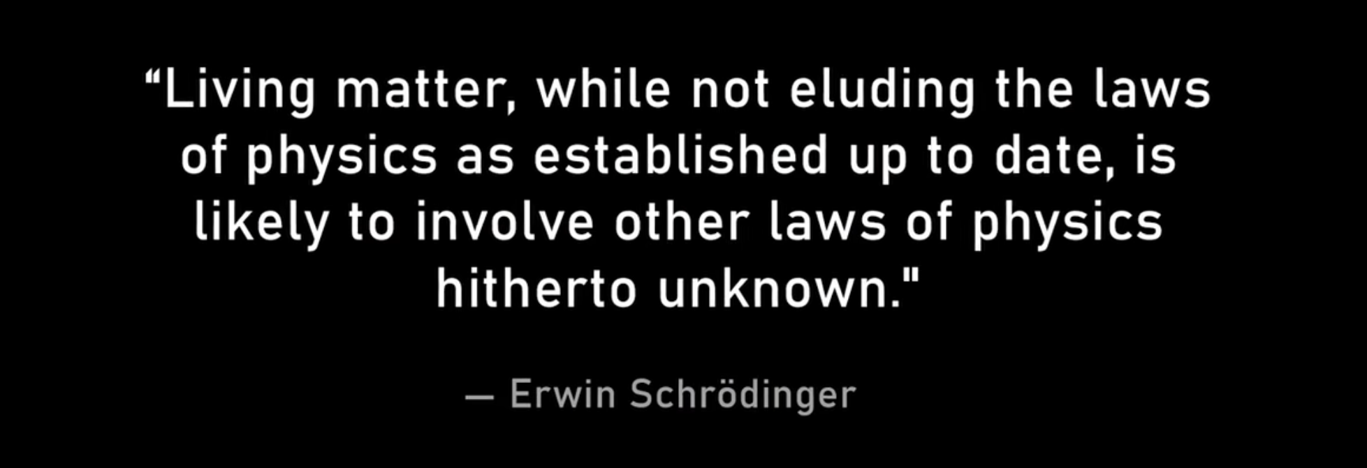 Erwin Schrodinger quote about the essence of life in the universe